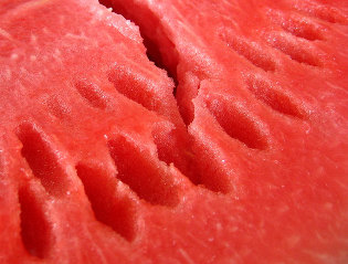 Wassermelone zum uhuelen